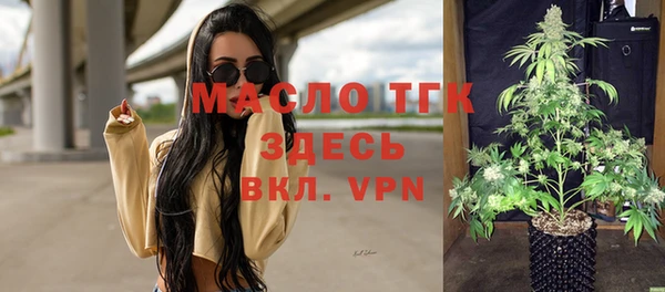 гашик Горняк